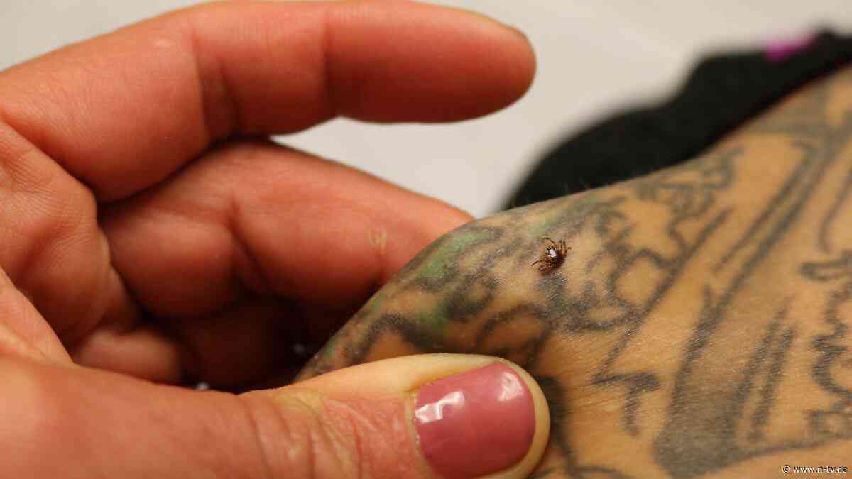 Verbreitung von Alpha-Gal in USA: Fleischallergie nach Zeckenstich: Antikörper allein sind kein sicheres Zeichen