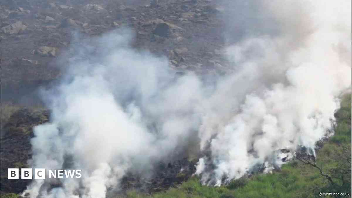 How does wildfire smoke affect your health?