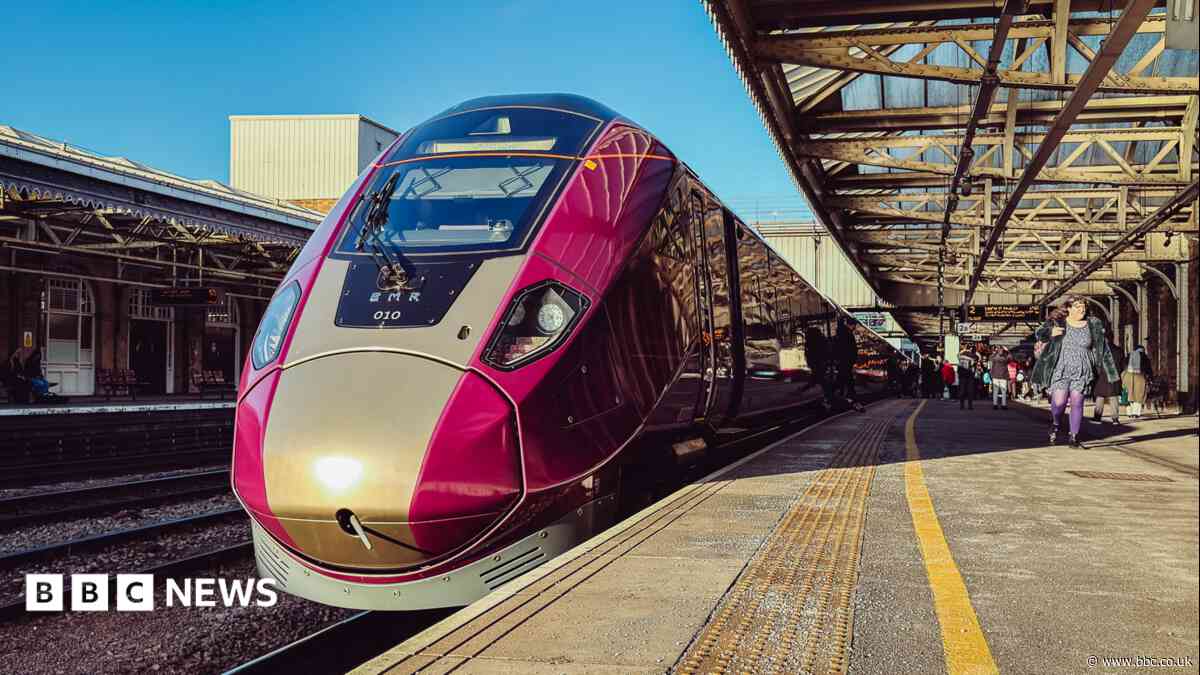 Train services reduced over issues with new fleet