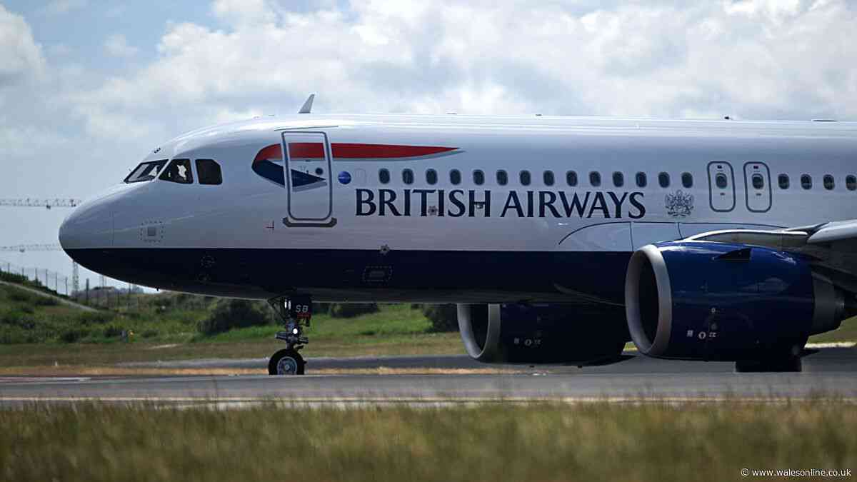 British Airways 'free seats' alert to select passengers this summer