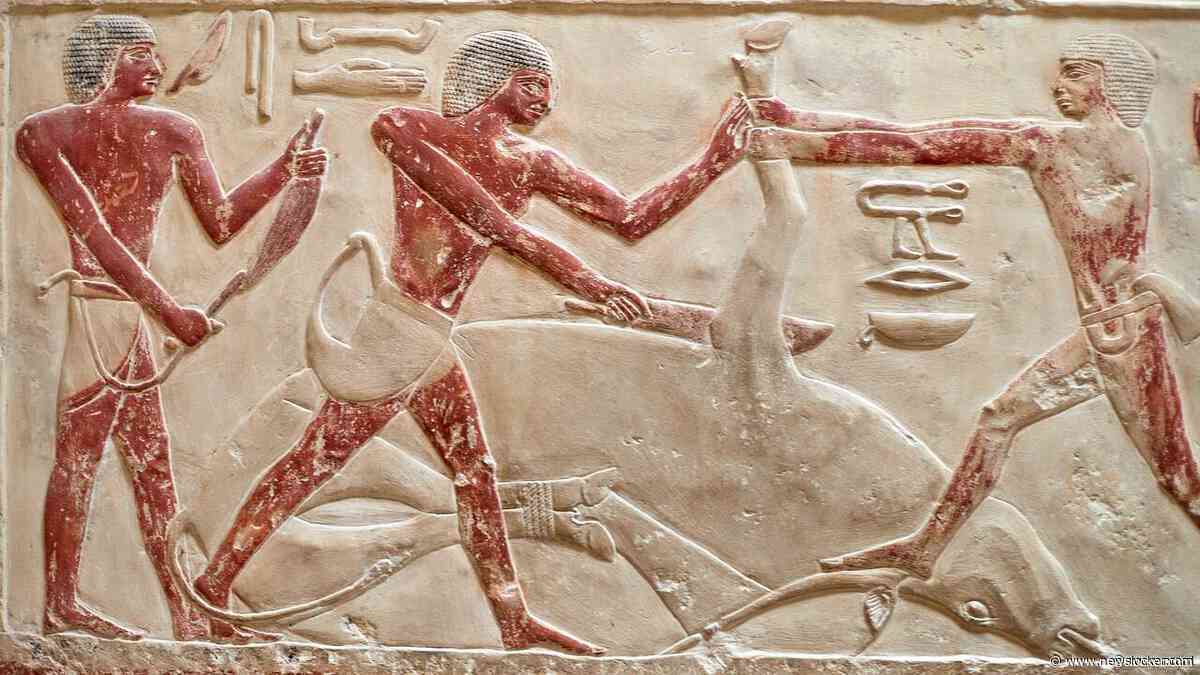 Prinsessen in het Oude Egypte konden goed met wapens overweg: 'Geen luxelevens'