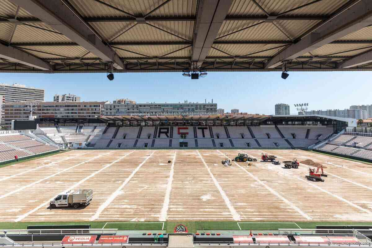 « Une pelouse nouvelle génération » : sous la pression de la ligue nationale de rugby, le stade Mayol de Toulon enfile à son tour un revêtement hybride