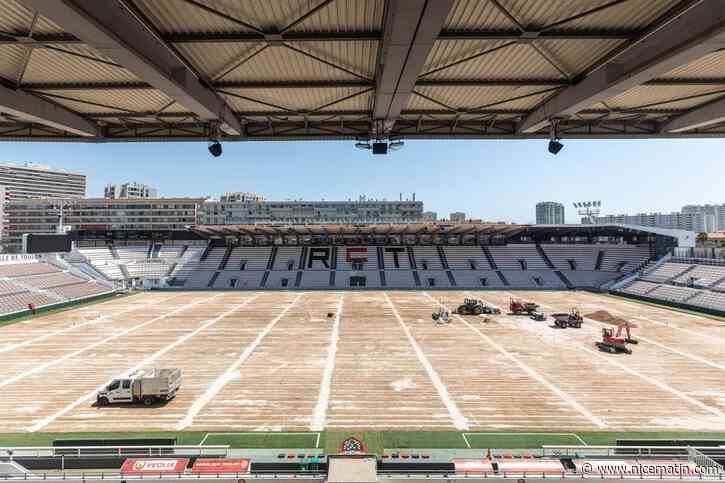 « Une pelouse nouvelle génération » : sous la pression de la ligue nationale de rugby, le stade Mayol de Toulon enfile à son tour un revêtement hybride