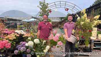 The hidden gem garden centre with 200 year history in pretty Cheshire village