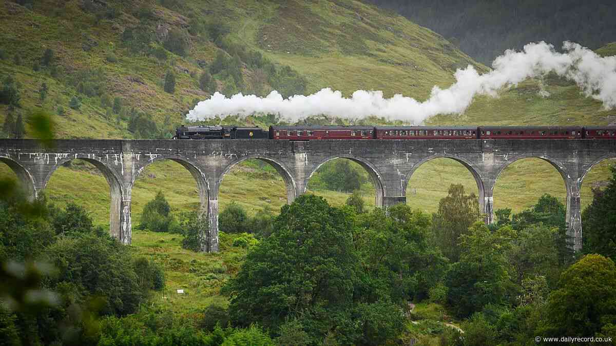 Network Rail issues week-long steam train ban in UK heatwave amid wildfire fears