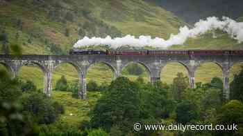 Network Rail issues week-long steam train ban in UK heatwave amid wildfire fears
