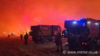 Spain wildfires: Hundreds flee as 30,000 acre blaze tears through holiday hotspot