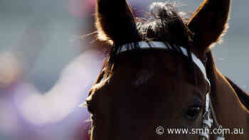 Tips and race-by-race guide for Wagga Wagga on Monday