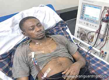 How habits, water you drink, hidden toxins, self-medication fuel kidney crisis