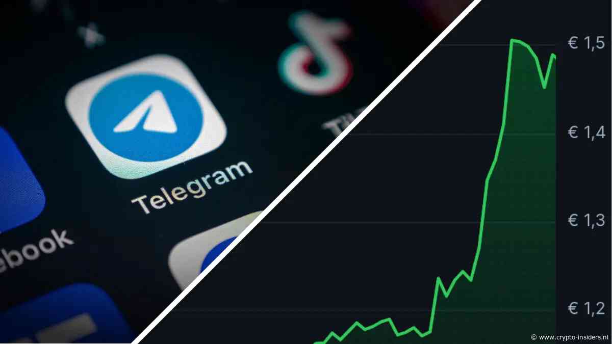 Deze Telegram-groepen geven een uniek kijkje in de cryptomarkt