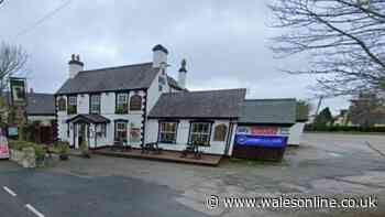Welsh pub bombarded with 'cruel and nasty' backlash after banning dogs