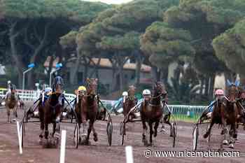 Sept courses au trot en semi-nocturne à l’hippodrome de Hyères ce dimanche 19 juillet