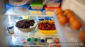 Fridge setting people should check now to avoid food poisoning
