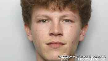 'Sadistic' 21-year-old rapist who attacked two girls thinks he has been punished too much