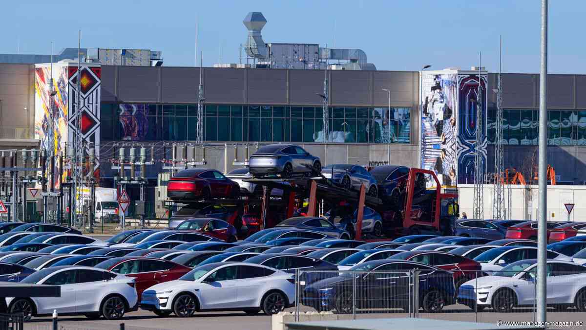 Tesla: E-Autobauer macht in Brandenburg mehr Gewinn, aber weniger Umsatz