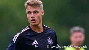 Newcastle have landed a 'bargain' if United transfer gamble pays off