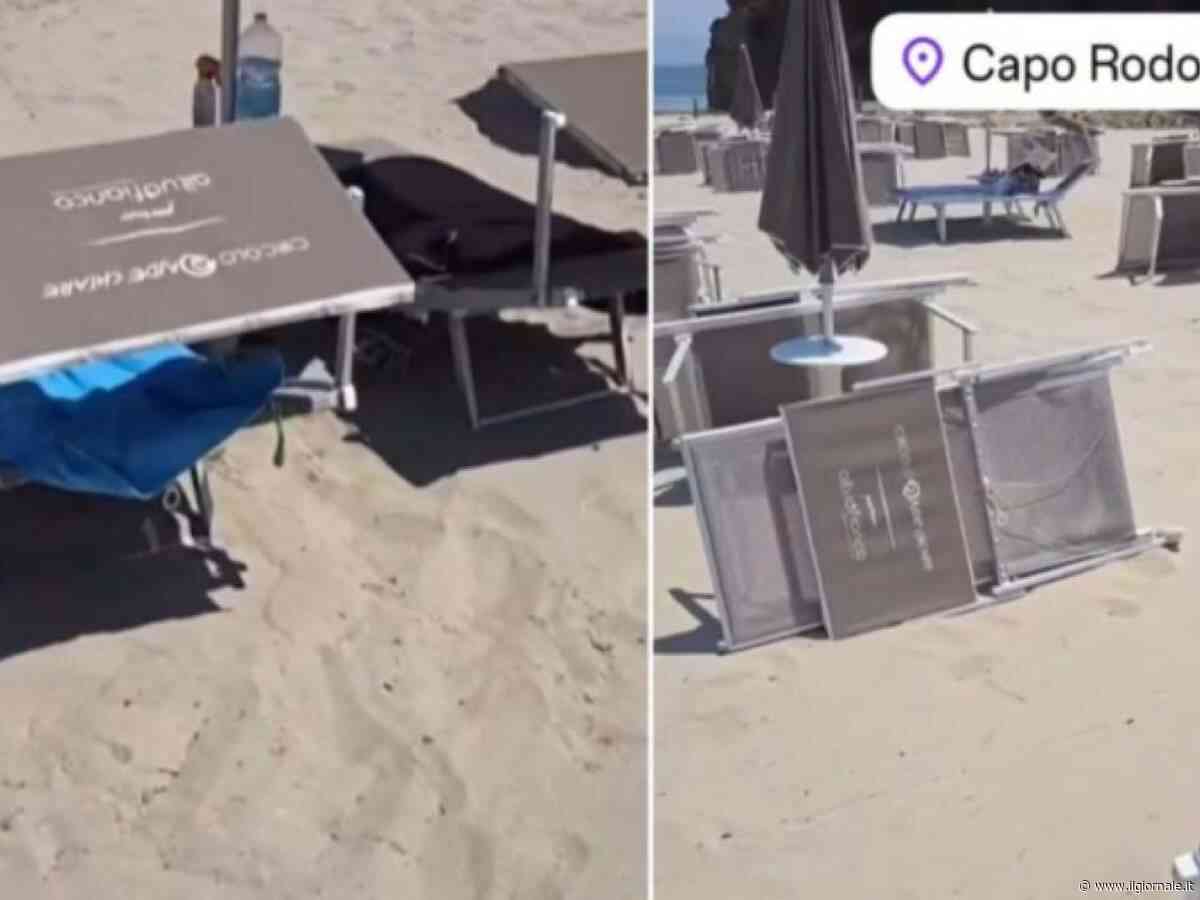 Lettini rubati a Reggio Emilia, ritrovati in Albania dopo due anni