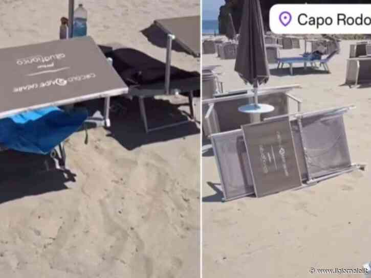 Lettini rubati a Reggio Emilia, ritrovati in Albania dopo due anni