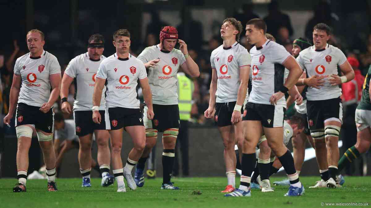 South Africa v Wales winners and losers as nobody escapes Durban humiliation