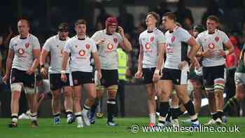 South Africa v Wales winners and losers as nobody escapes Durban humiliation