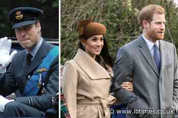 Prince William Allegedly Ready to Strip Harry and Meghan of Royal Titles When He Becomes King