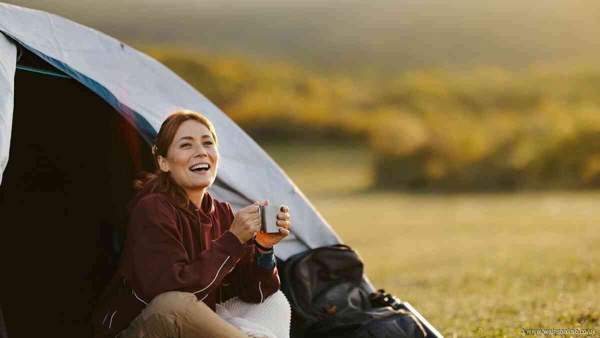 Unusual item festival goers 'hope to never need' hailed a 'godsend' on long journeys