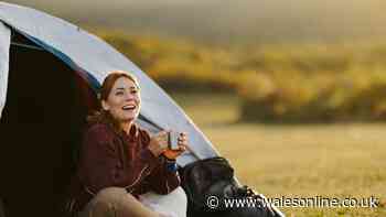 Unusual item festival goers 'hope to never need' hailed a 'godsend' on long journeys
