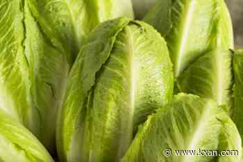 Taylor Farms expands lettuce recall to 27 states, including Texas