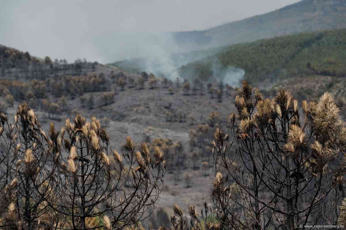 Großer Waldbrand bei Madrid außer Kontrolle