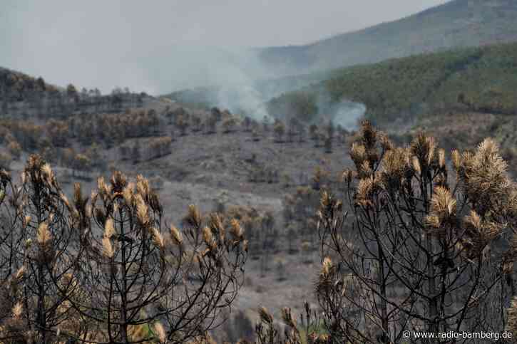 Großer Waldbrand bei Madrid außer Kontrolle