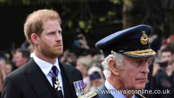 'Prince Harry showed his true feelings about King Charles reunion hours before meeting'