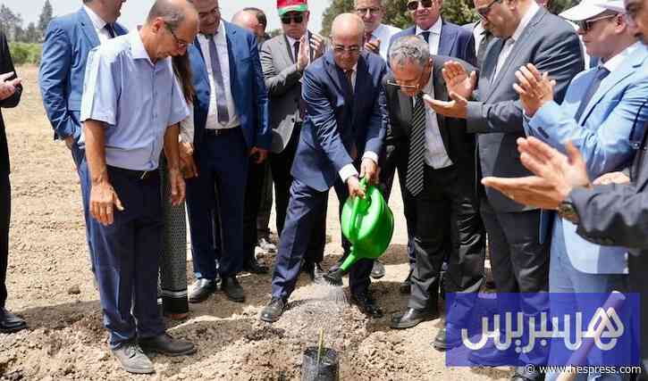 استثمارات جديدة لدعم فلاحة اللوكوس