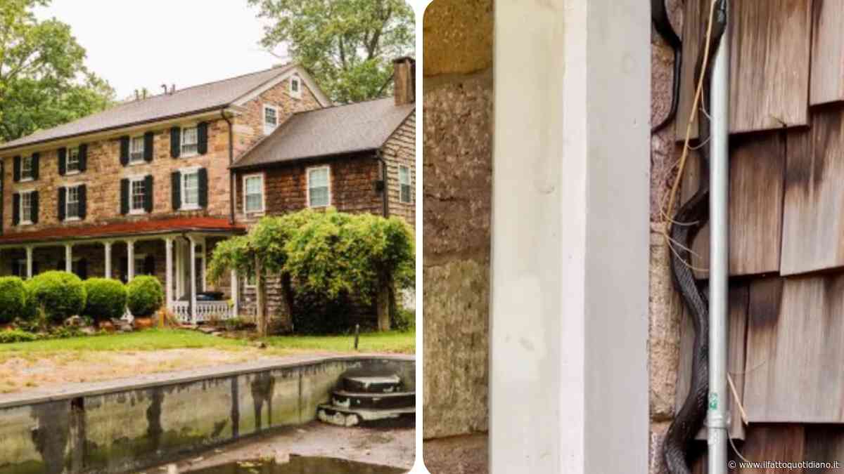 “Abbiamo comprato all’asta la casa dei nostri sogni, consapevoli di dover fare una lunga ristrutturazione. Quello che non ci aspettavamo erano i serpenti, li abbiamo trovati ovunque”: la storia di Tyler e Lauren Bouldin
