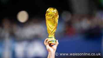 Six teams have already qualified for next World Cup after FIFA makes special exception