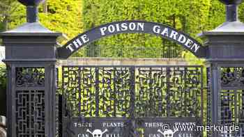 Botanik trifft hier auf True-Crime: Das ist der tödlichste Garten der Welt