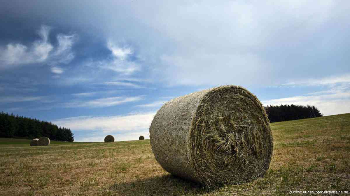 Landwirt verliert Heuballen und löst Feuerwehreinsatz aus