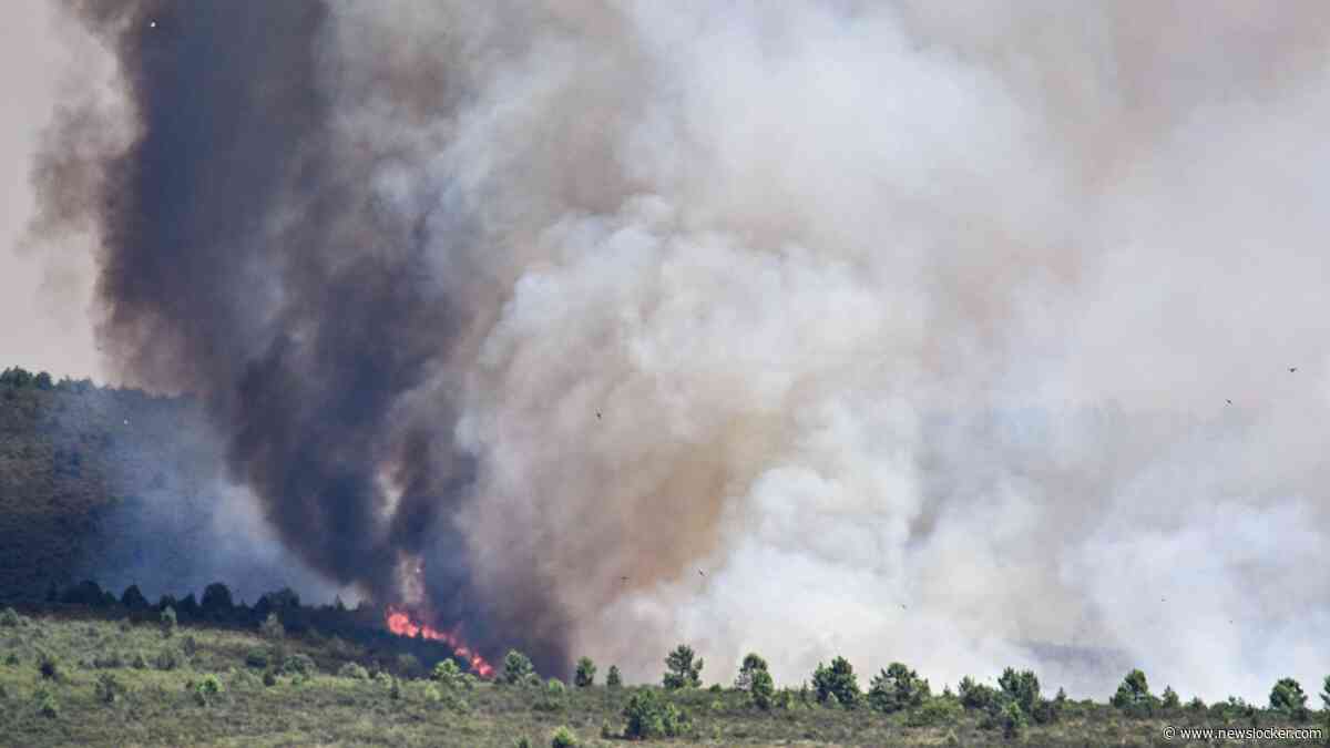LIVE | Brandweer heeft handen vol aan bosbrand nabij Madrid: al 13.000 hectare in vlammen op