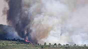LIVE | Brandweer heeft handen vol aan bosbrand nabij Madrid: al 13.000 hectare in vlammen op
