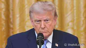 Trump calls for Congress to add Iran to Russia sanctions bill in Graham's honor