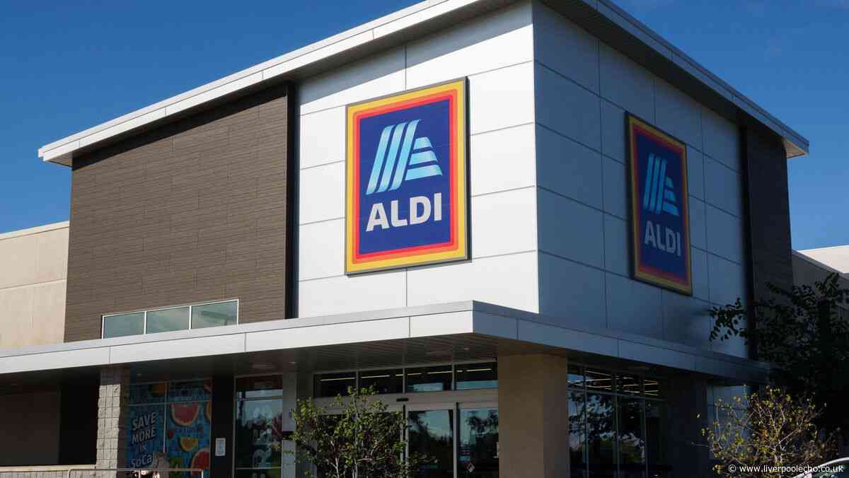 Aldi's new £17 portable gadget is 'perfect for cleaning homes and cars'