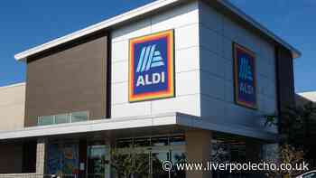 Aldi's new £17 portable gadget is 'perfect for cleaning homes and cars'
