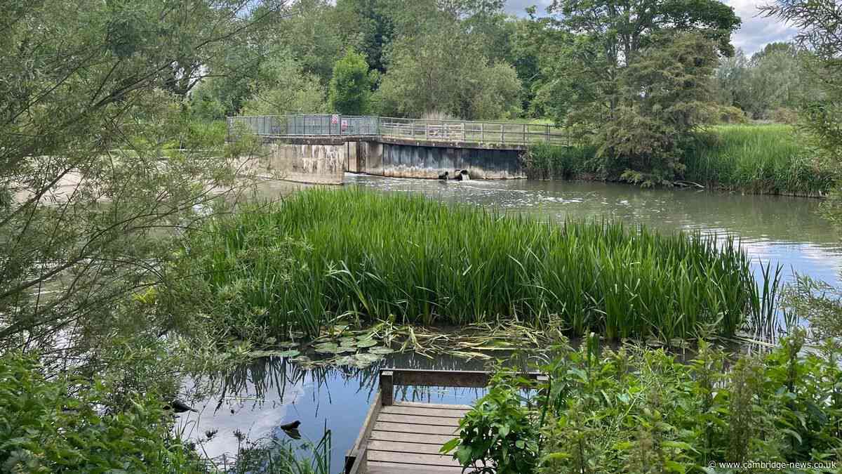 The quiet Cambridge nature reserve with crystal clear waters and named after a famous poet
