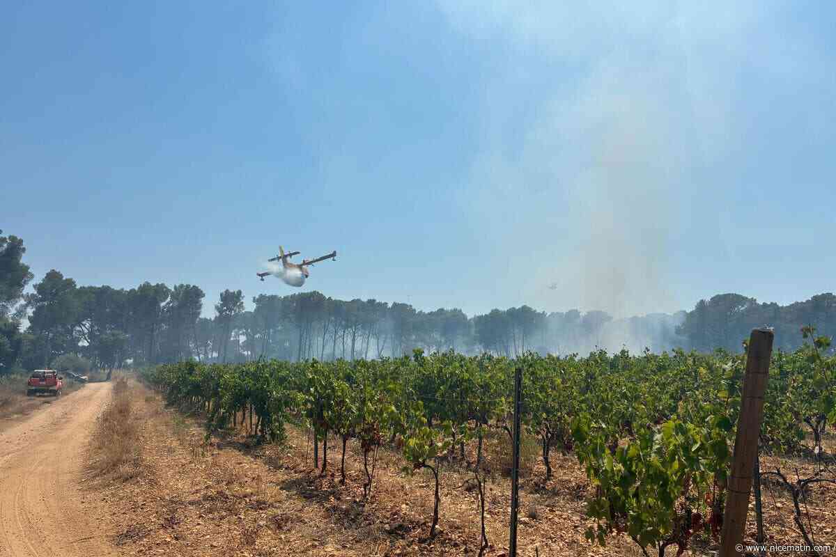 Incendies dans le Var : d’importants moyens mobilisés sur un départ de feu à La Londe