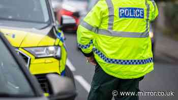 Youths swarm Belfast street as 'masonry' thrown at police and bins set on fire