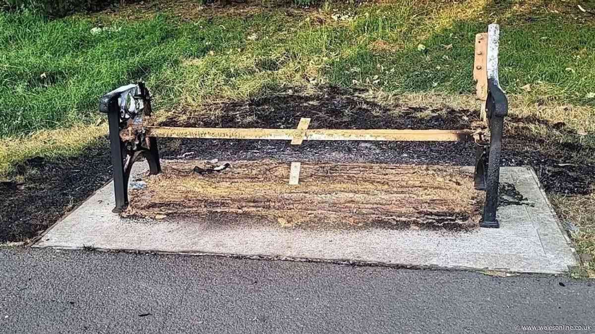'Seeing my girl's bench destroyed was like watching her take her last breath again'