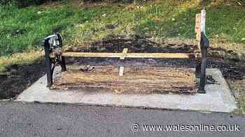 'Seeing my girl's bench destroyed was like watching her take her last breath again'