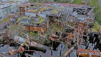 Heiltsuk Nation aims to renew, remediate ancient Namu village