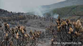 Spanien: Großer Waldbrand bei Madrid außer Kontrolle