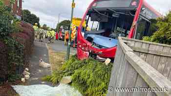 Bus carrying passengers ploughs through County Durham garden as family rush to help driver