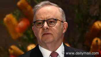 Labor is neck and neck with One Nation in worrying new poll for Anthony Albanese - as the Coalition finally gains some hard earned ground